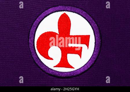 ACF FIORENTINA in 2023  Logo redesign, ? logo, Creative professional