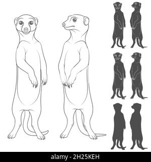 Set of black and white illustrations depicting the meerkats. Isolated vector objects on white background. Stock Vector