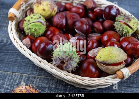 Chestnuts in a basket on a wooden background. Stock Photo
