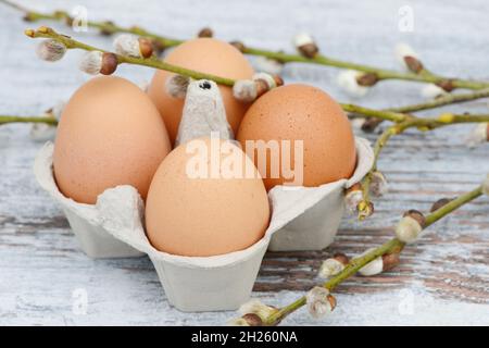 Easter eggs and catkin lying on wood Stock Photo