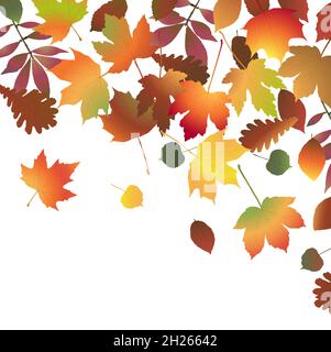 eps vector file with end of summer or fall colored leaves on upper side background Stock Vector