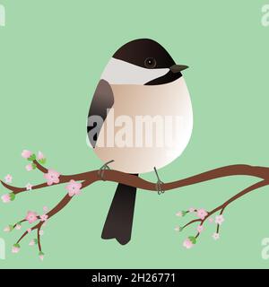 A very cute Chickadee bird in the shape of an egg. Blue background. The bird sits on a branch with pink blossoms. Stock Vector