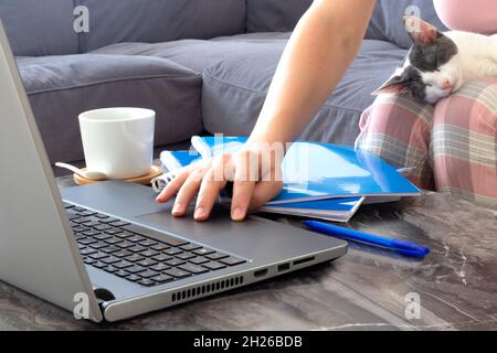 woman working online at home. Stock Photo