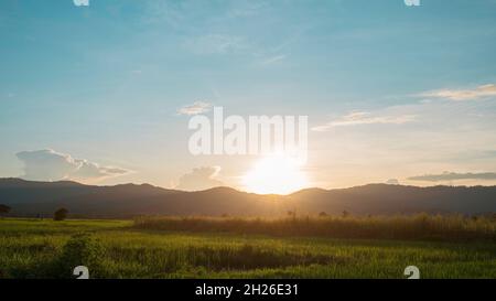 Beautiful sunset over green rice field. countryside landscape in Thailand Stock Photo