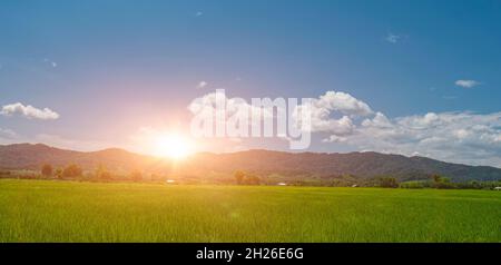 Beautiful sunrise over green rice field. countryside landscape in Thailand Stock Photo