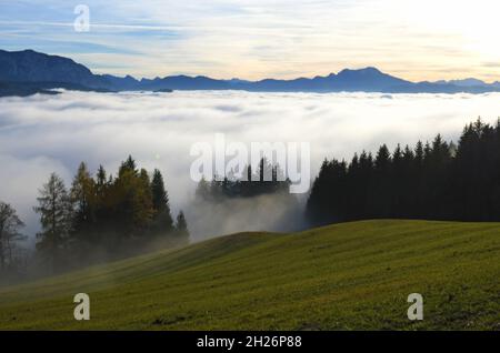 Eine Nebeldecke im Herbst auf dem Gahberg am Attersee, Oberösterreich, Österreich, Europa - A blanket of fog in autumn on the Gahberg am Attersee, Upp Stock Photo