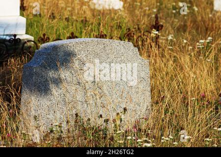 An old granite headstone in a disused cemetery, overgrown by grass and wildflowers. Stock Photo