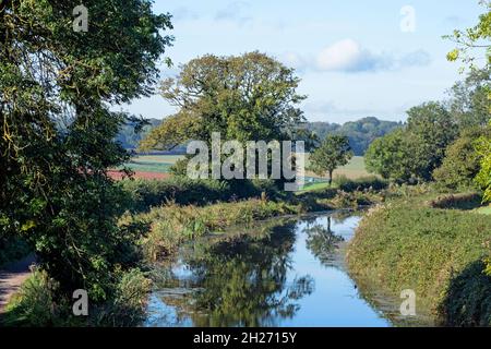 Section of the Grand Western Canal near Halberton in Devon, UK. It was built 200 years ago linking the towns of Tiverton and Taunton Stock Photo