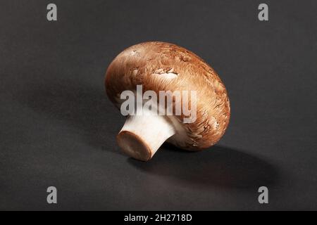 brown mushroom on black background Stock Photo
