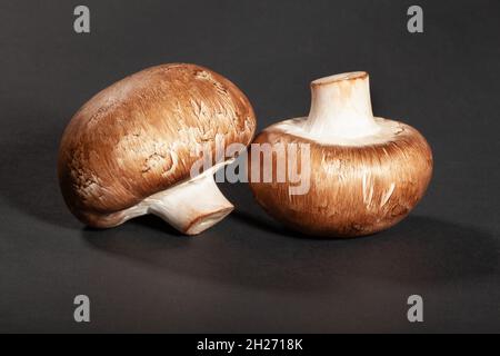 brown mushroom on black background Stock Photo
