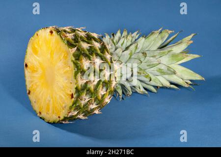 sliced pineapple on blue background Stock Photo