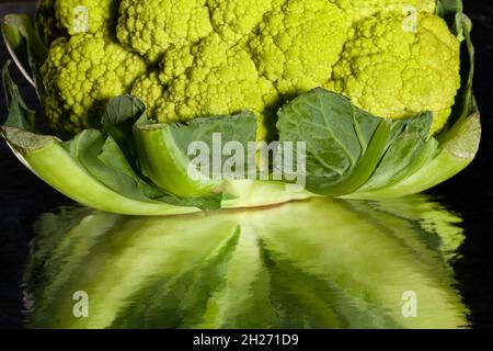 mirrored colorful cauliflower on black background Stock Photo