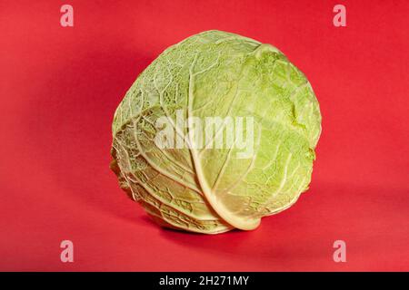 savoy cabbage on red background Stock Photo