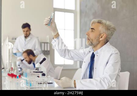 Senior scientist looking at glass tube while working in modern medical laboratory Stock Photo