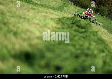 Wenden eines frisch geschnittenen Grases auf einer Wiese - Turning a freshly cut grass in a meadow Stock Photo