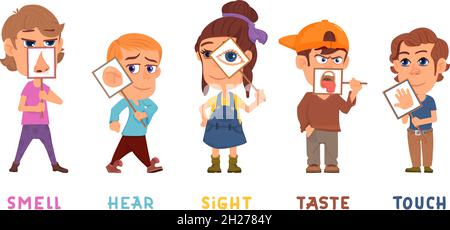 Five senses. Kids sense, taste hear sight smell touch organs. Children holding medicine banner with sensory system, isolated cartoon decent vector Stock Vector