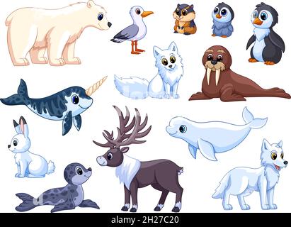 Polar animals. Antarctic mammals, isolated wildlife ocean. Funny arctic white bear, seabird, cute penguins and deer. Garish vector characters Stock Vector