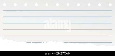 Lined paper ripped from notebook. Blank sheet. Stock Vector