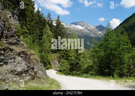 a hiking trail leading through the scenic alpine landscape in Schladming-Dachstein region in Austria Stock Photo