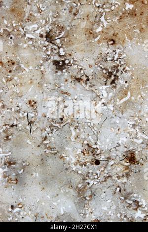 unevenly textured surface of a marbled stone tile Stock Photo