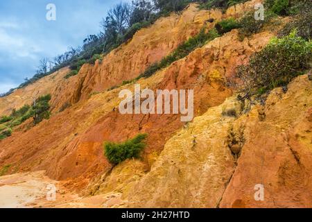 eroded sand dune cliffs at Rainbow Beach in the Cooloola Section of the Great Sandy National Park, Gympie Region, Qeensland, Australia Stock Photo