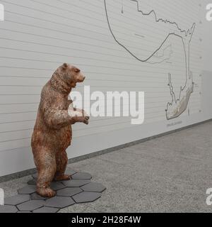 Burgos, Spain - 16 Oct 2021: A model of a bear in the Museum of Human Evolution Stock Photo