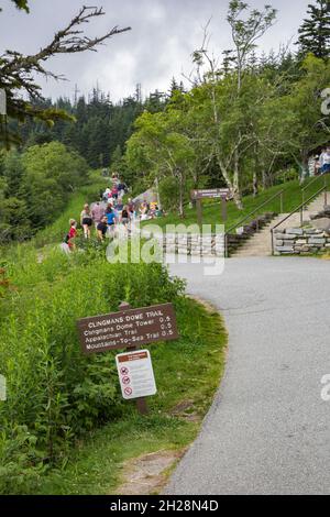 Sign directs park guests to Clingman's Dome tower and trails in the Smoky Mountains National Park Stock Photo