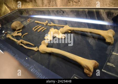 Das Neanderthal Museum ist ein Museum im Neandertal bei Mettmann, Deutschland, Europa - The Neanderthal Museum is a museum in the Neandertal near Mett Stock Photo