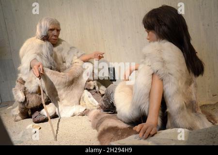 Das Neanderthal Museum ist ein Museum im Neandertal bei Mettmann, Deutschland, Europa - The Neanderthal Museum is a museum in the Neandertal near Mett Stock Photo