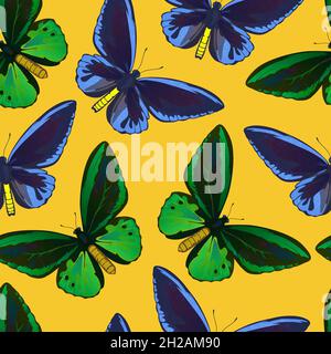 Seamless pattern with colorful big tropical butterflies, swallowtail and birdwing, papilio and ornitoptera papilionidae. Stock Vector