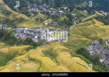 Aerial view of terraces rice fields in Longji Stock Photo