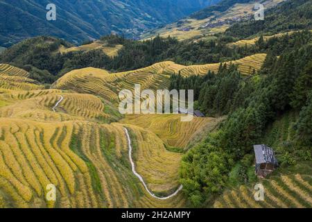 Aerial view of rice fields in Longji, China Stock Photo