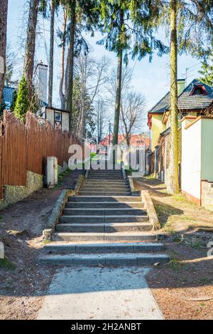 A stone staircase in the town among cosy cottages and pine trees Stock Photo