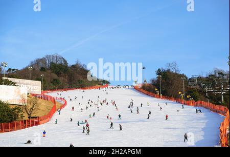 Gangwon-do,Korea-January 4,2016: Daemyung Vivaldi Park ski resorts, attractions, famous and popular in Korea. Stock Photo