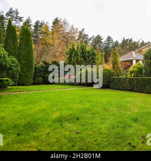 Landscaping of a garden with a green lawn, colorful decorative shrubs and shaped yew and boxwood, Buxus, in autumn. Gardening concept. Stock Photo