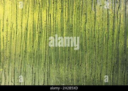 Green stained glass window texture. Background, abstract, construction, nature, green, Spring concept. Stock Photo