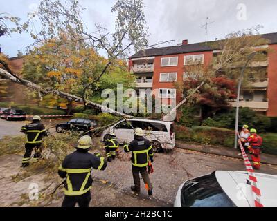 Hamburg, Germany. 21st Oct, 2021. Firefighters stand in front of two fallen trees in the district of Steilshoop. Low pressure system 'Ignatz' brings violent gales to northern Germany. Credit: Steven Hutchings/TNN/dpa/Alamy Live News Stock Photo