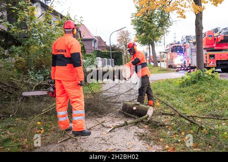 Hamburg, Germany. 21st Oct, 2021. A firefighter saws down a tree lying across the pavement in the district of Curslack. With low pressure 'Ignatz', the first strong autumn storm of the year moves over Germany. Credit: Daniel Bockwoldt/dpa/Alamy Live News Stock Photo