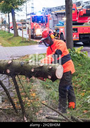 Hamburg, Germany. 21st Oct, 2021. A firefighter saws down a tree lying across the pavement in the district of Curslack. With low pressure 'Ignatz', the first strong autumn storm of the year moves over Germany. Credit: Daniel Bockwoldt/dpa/Alamy Live News Stock Photo