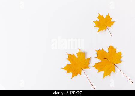 Autumn composition. Frame made of golden autumn maple leaves. Flat lay Stock Photo