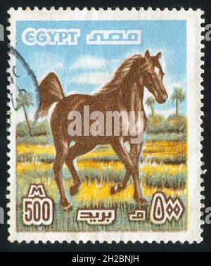 EGYPT - CIRCA 1993: stamp printed by Egypt, shows Horse, circa 1993 Stock Photo