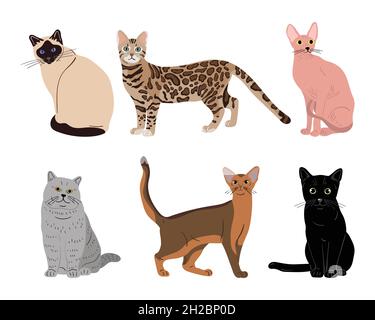 Illustrated cats set Stock Vector