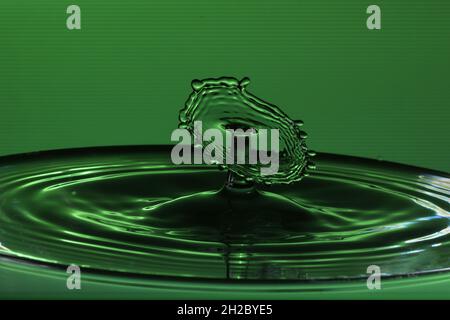 Drops of water on a water surface that result in water sculptures. Stock Photo