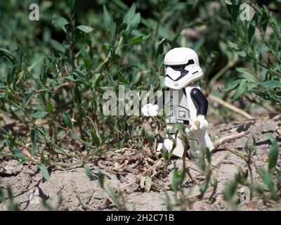 Chernihiv, Ukraine, July 13, 2021. A walking imperial stormtrooper among plants, a plastic minifigure. Illustrative editorial. Stock Photo