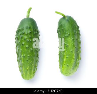Two fresh green cucumbers isolated on white background. Top view Stock Photo