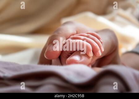 Close up of tiny newborn baby's fingers.  Stock Photo