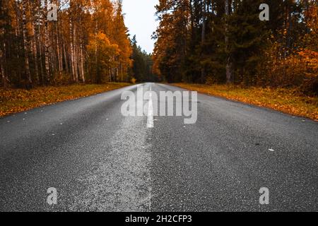 empty asphalt road and beautiful colorful forest in autumn Stock Photo