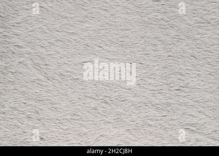 Flat lay top view fluffy carpet. Winter autumn abstract background Stock Photo