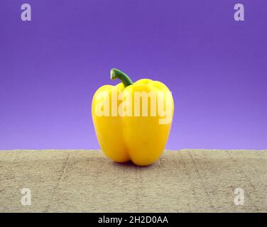 Organic light yellow bell pepper colorful vegetable on grunge cement against blue gradient background. Food photography, fine art, modern art.