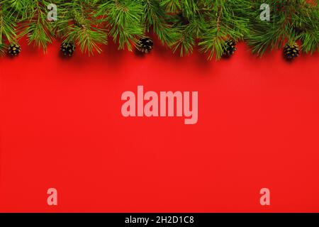 Christmas banner of fir tree branches with cones on red background with place for text Stock Photo